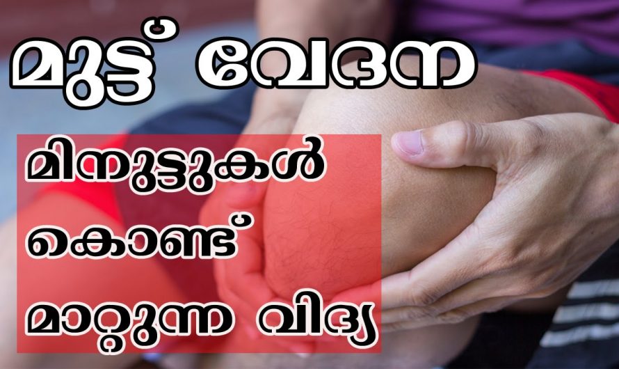 മുട്ടുവേദനയ്ക്കുള്ള മറു മരുന്ന് ദാ ഇവിടെയുണ്ട്. ഇത് കാണാതെ പോയാൽ തീരാ നഷ്ടമായിരിക്കും ഫലം…| 10 Easy Ways to Get Rid of Knee Pain