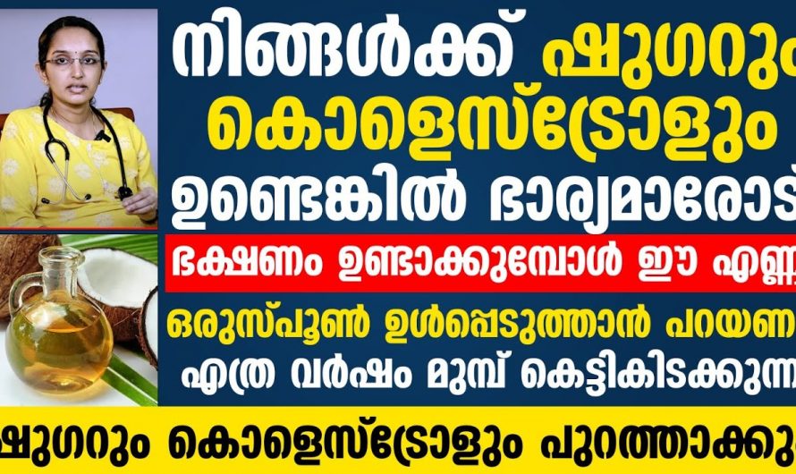 ഷുഗറും കൊളസ്ട്രോളും പുറത്താക്കാൻ ഈ എണ്ണ ഉപയോഗിക്കൂ. മാറ്റം സ്വയം തിരിച്ചറിയൂ…| Sugar and cholesterol normal level