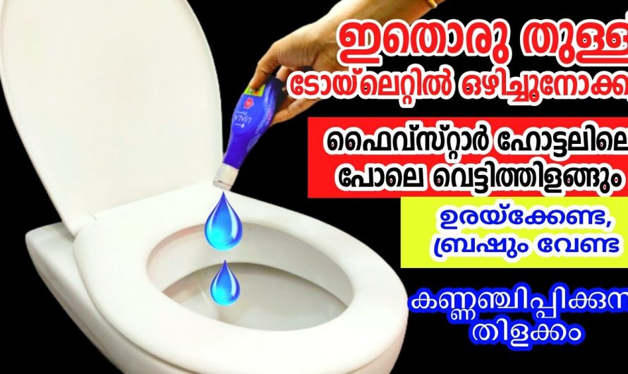 കറപിടിച്ച പാത്രങ്ങളും ടോയ്‌ലറ്റും ടൈൽസും എല്ലാം വെട്ടി തിളങ്ങാൻ ഇത് ഉപയോഗിക്കൂ. മാറ്റം സ്വയം തിരിച്ചറിയൂ.