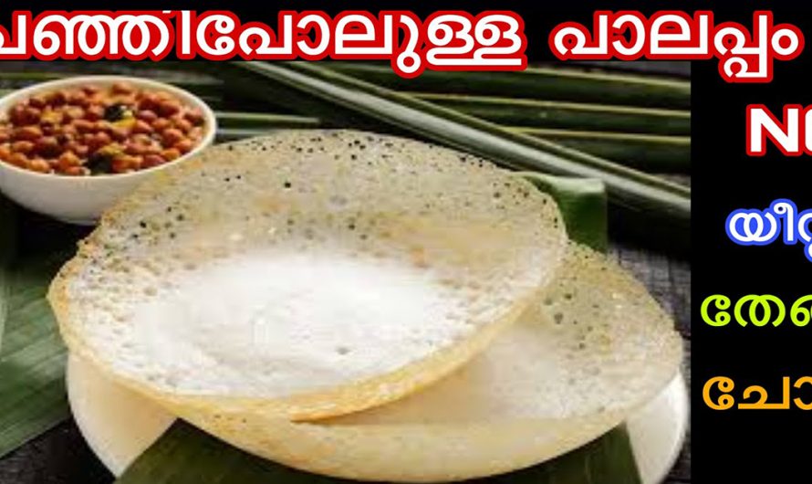 ഒട്ടുo യീസ്റ്റ് ചേർക്കാതെ പൂവ്പോലെ സോഫ്റ്റായ പാലപ്പം ഉണ്ടാക്കുന്നത് ഇതുവരെയും അറിയാതെ പോയല്ലോ.