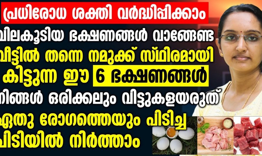 ഇമ്മ്യൂണിറ്റിയെ വർധിപ്പിക്കാൻ കഴിക്കേണ്ട ഭക്ഷണങ്ങളെ ആരും അറിയാതെ പോകല്ലേ…| 6 Foods That Boost Immunity