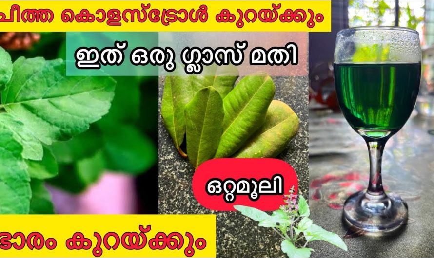 ദഹനം സാധ്യമാക്കാനും കഫക്കെട്ടിനെ മറികടക്കാനും ഈ ഒരു ഇല മതി. ഇതാരും കാണാതെ പോകരുതേ…| Cholesterol block control in malayalam