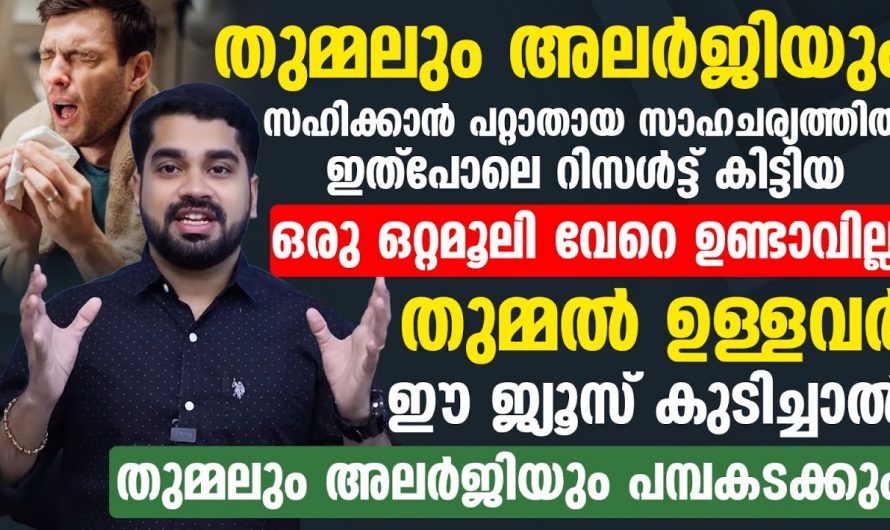 ഈ ജ്യൂസ് ശീലമാക്കൂ തുമ്മലും അലർജിയും എന്നെന്നേക്കുമായി കുറക്കാം. ഇതാരും അറിയാതെ പോകല്ലേ.