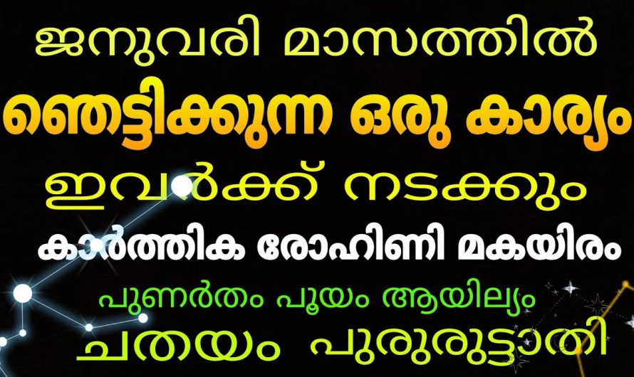 ജനുവരി മാസത്തിൽ അപ്രതീക്ഷിതമായിട്ടുള്ള നേട്ടങ്ങൾ സ്വന്തമാക്കുന്ന നക്ഷത്രക്കാരെ കാണാതെ പോകല്ലേ.