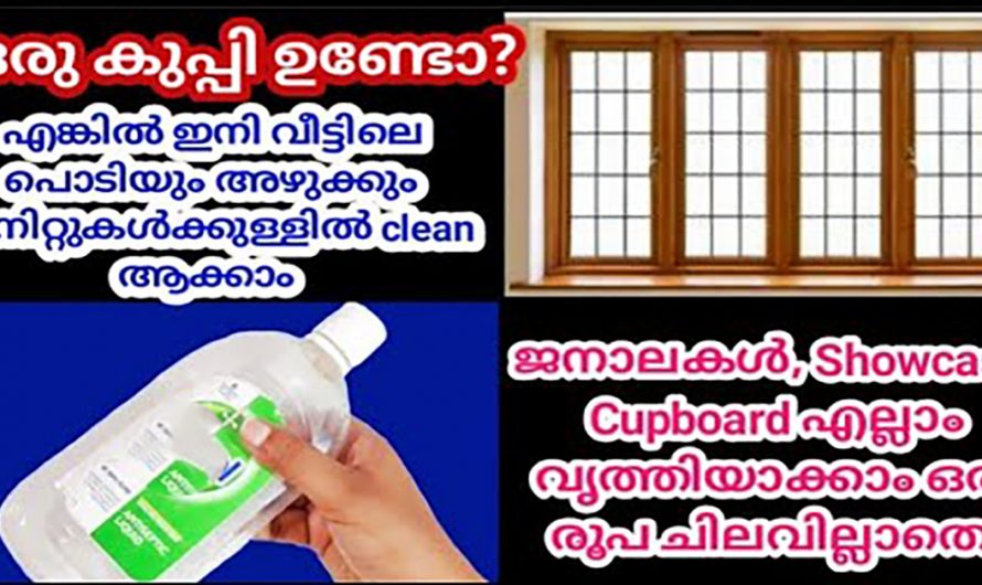 വീട്ടിലെ എല്ലാം പൊടികയും കളയാൻ ഇത്രയ്ക്ക് എളുപ്പമായിരുന്നോ?  ഇതാരും കാണാതെ പോകല്ലേ.