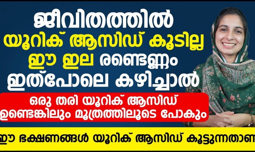 ഈ ഇല കഴിക്കൂ യൂറിക് ആസിഡ് മരുന്ന് പോലും ഇല്ലാതെ താനെ കുറഞ്ഞോളും. ഇതാരും കാണാതെ പോകല്ലേ…| Uric acid control food