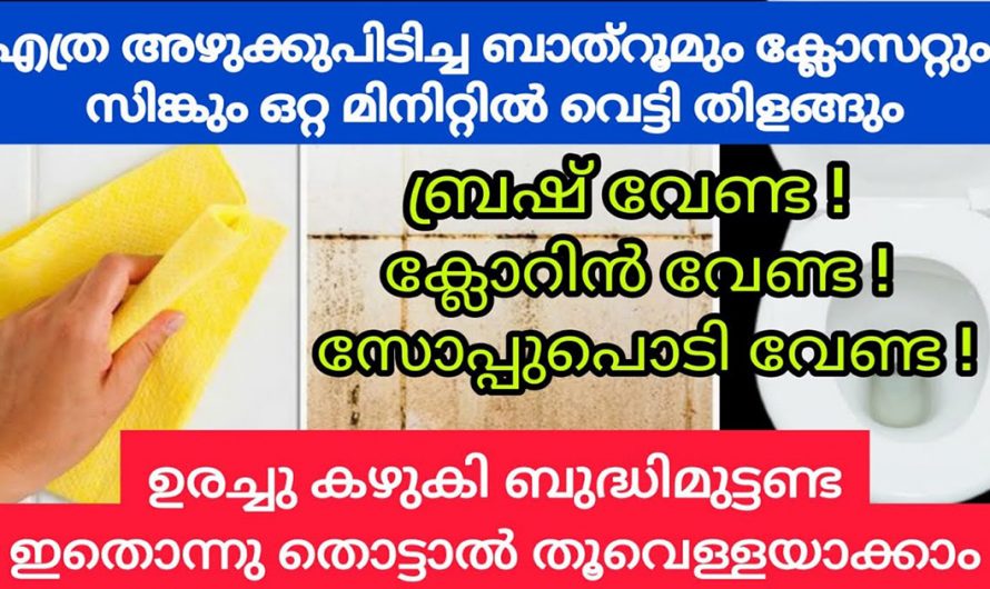 കറപിടിച്ച ബാത്റൂമും ക്ലോസറ്റും ഒരുപോലെ വൃത്തിയാക്കാൻ ഇങ്ങനെ ചെയ്താൽ മതി. ഇതാരും കാണാതിരിക്കരുതേ.