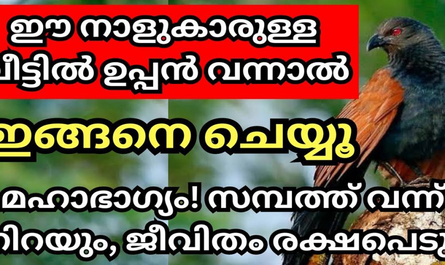 നിങ്ങളുടെ വീട്ടിൽ ഉപ്പൻ വരാറുണ്ടോ? എങ്കിൽ ഇങ്ങനെ ചെയ്യൂ സൗഭാഗ്യം നിങ്ങളെ തേടിയെത്തും. കണ്ടു നോക്കൂ.