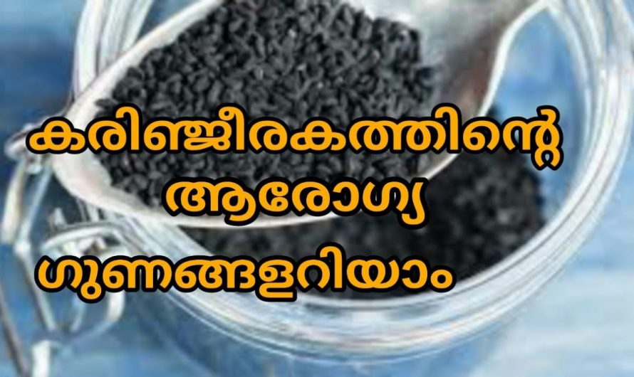 ശരീരത്തിലെ ആന്തരികവും ബാഹികവുമായ രോഗങ്ങളെ ഇല്ലായ്മ ചെയ്യാൻ ഇതൊരു പിടി മതി. കണ്ടു നോക്കൂ…| Karimjeerakam benefits malayalam