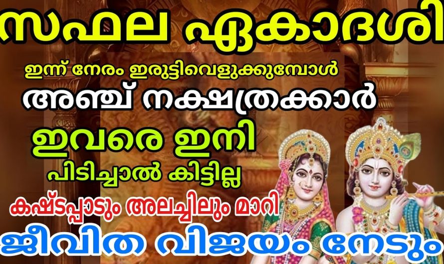 സഫല ഏകാദശിയോടു കൂടി ജീവിതത്തിൽ അഭിവൃദ്ധി പ്രാപിക്കുന്ന നക്ഷത്രക്കാരെ ഇതുവരെ അറിയാതെ പോയല്ലേ.