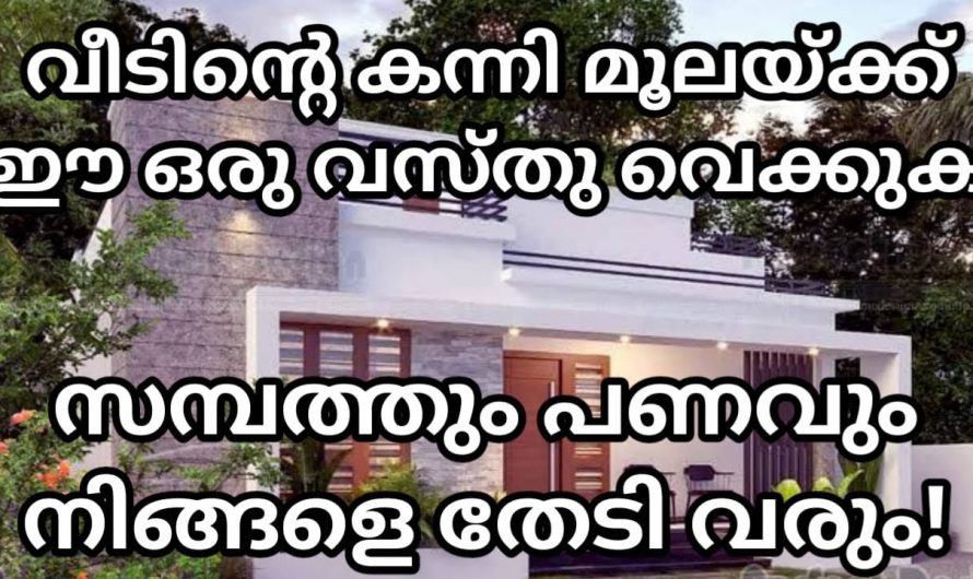 കുടുംബത്തിൽ ഉയർച്ചയുണ്ടാകാൻ കന്നിമൂലയിൽ ഈയൊരു വസ്തുവയ്ക്കൂ. കണ്ടു നോക്കൂ.