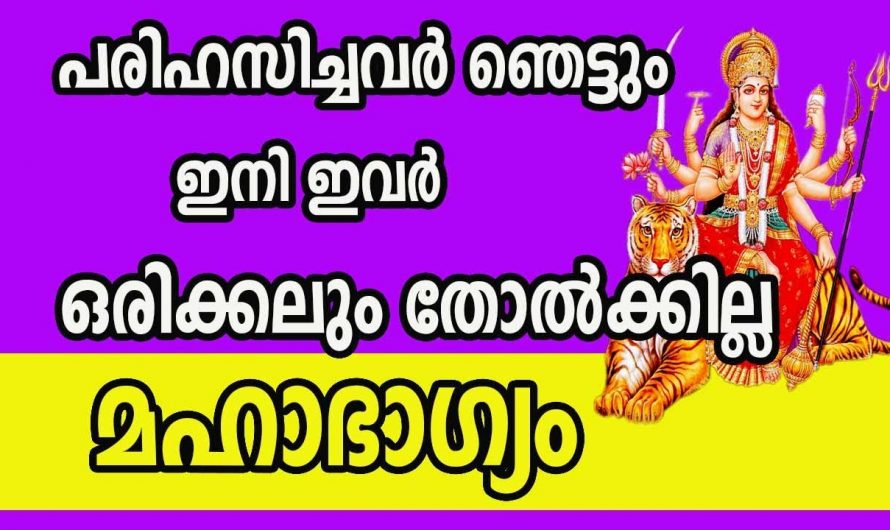 സാമ്പത്തിക മുന്നേറ്റത്തിലൂടെ ജീവിതത്തിൽ വിജയങ്ങൾ നേടുന്ന നക്ഷത്രക്കാരെ തിരിച്ചറിയാതെ പോകല്ലേ.