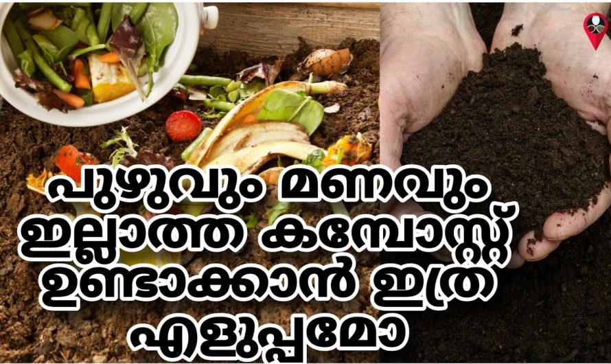 ഗ്രോബാഗിൽ കമ്പോസ്റ്റ് തയ്യാറാക്കാൻ ഇത്ര എളുപ്പമായിരുന്നോ? ഇനിയെങ്കിലും ഇത് അറിയാതിരിക്കല്ലേ…| Compost making at growbag