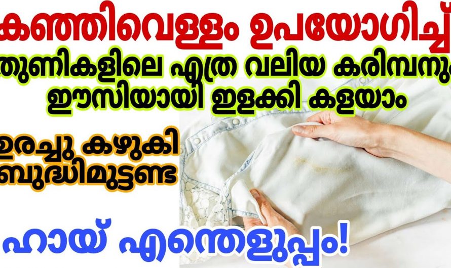 ഈയൊരു വെള്ളം മാത്രം മതി കരിമ്പൻ ഈസിയായി ഇളക്കി കളയാൻ. ഒരു കാരണവശാലും ഇത് കാണാതിരിക്കല്ലേ.