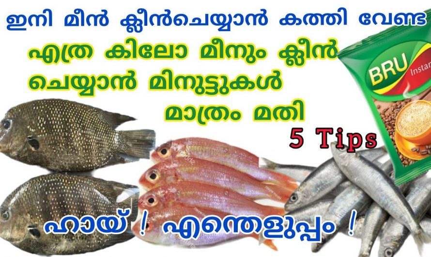 ഏതു മീൻ വേണമെങ്കിലും കത്തിയില്ലാതെ ഇനി ക്ലീൻ ചെയ്യാം. ഒരു കാരണവശാലും ഇതാരും അറിയാതിരിക്കല്ലേ.