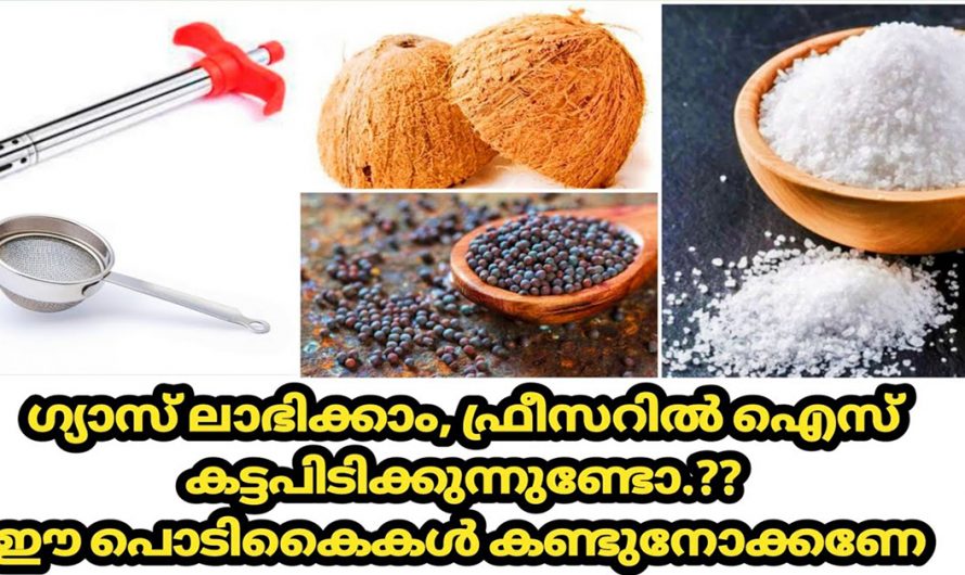 വെറുതെ കളയുന്ന ഗ്യാസിനെ ലാഭിക്കാൻ ഇങ്ങനെ ചെയ്യൂ. ഇനിയെങ്കിലും ഇത്തരം കാര്യങ്ങൾ അറിയാതെ പോകല്ലേ.