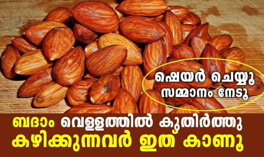 ദിവസവും ഇത് കുതിർത്ത് കഴിക്കൂ  ഇൻസുലിൻ താനെ വർദ്ധിച്ചോളും. ഇതിന്റെ ഗുണങ്ങൾ ശരിക്കും ഞെട്ടിക്കും.