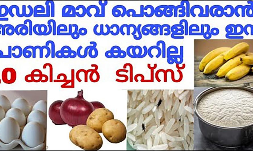 ഇഡ്ലി മാവ്  പതഞ്ഞ് പൊന്തി വരാൻ ഇതൊരു സ്പൂൺ ചേർത്താൽ മതി. ഇത് നിങ്ങളെ ഞെട്ടിക്കും.