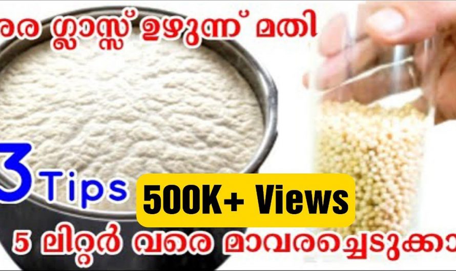 സോഫ്റ്റ് ഇഡഡലി ഉണ്ടാക്കാൻ ഇനി അര ഗ്ലാസ് ഉഴുന്നേ വേണ്ടൂ. ഇനിയെങ്കിലും ഇത് അറിയാതിരിക്കല്ലേ…| Perfect dosa batter recipe