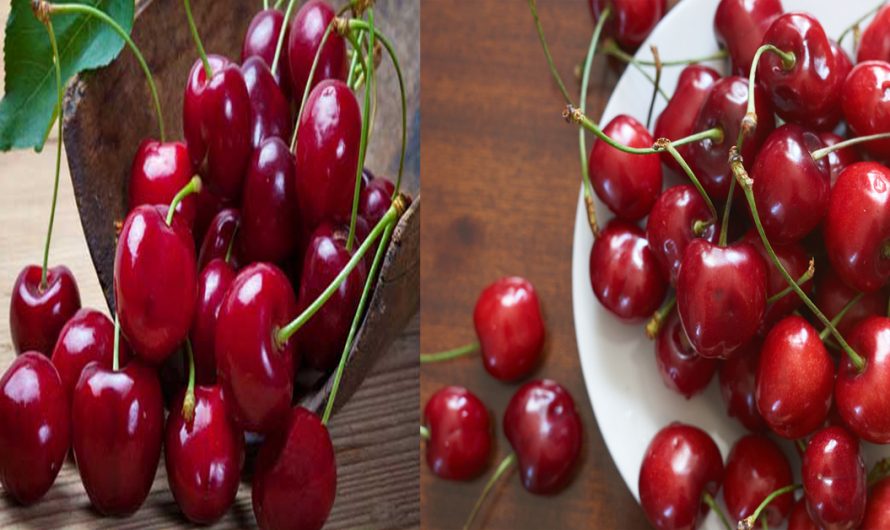എത്ര വലിയ ഉറക്കകുറവിനെയും ഇല്ലായ്മ ചെയ്യാൻ ഇതു മതി. ഇനിയെങ്കിലും ഇത്തരം കാര്യങ്ങൾ അറിയാതിരിക്കല്ലേ…| Cherry Health Benefits