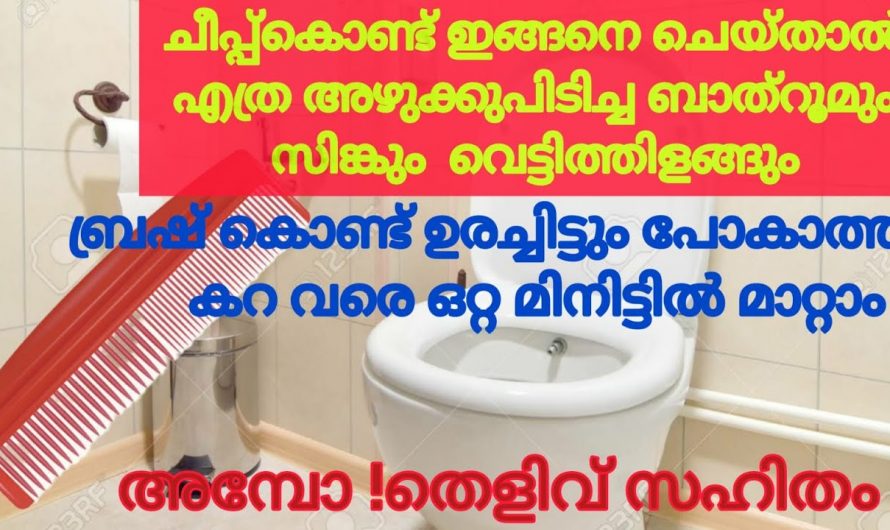 ബാത്റൂമും സിങ്കും വെട്ടി തിളങ്ങാൻ ചീർപ്പ്കൊണ്ട് ഇങ്ങനെ ചെയ്താൽ മതി. ഇത് നിങ്ങളെ ഞെട്ടിക്കും.