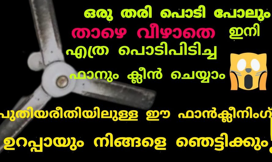 ഒരൊറ്റ പൊടി പോലും നിലത്തുവീഴാതെ ഫാൻ ക്ലീൻ ചെയ്യാൻ ഒരു കഷണം തുണി മതി. ഇത് നിങ്ങളെ ഞെട്ടിക്കും…| New way to Clean fan