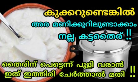 Easy way to make instant curd