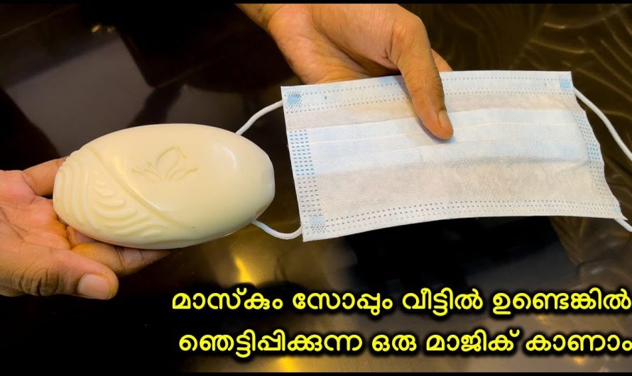 കയ്യിൽ മാസ്ക് ഉണ്ടോ? എങ്കിൽ അതിനുള്ളിൽ സോപ്പ് വെക്കൂ അപ്പോൾ കാണാം മാജിക്. ഇതാരും അറിയാതിരിക്കല്ലേ.