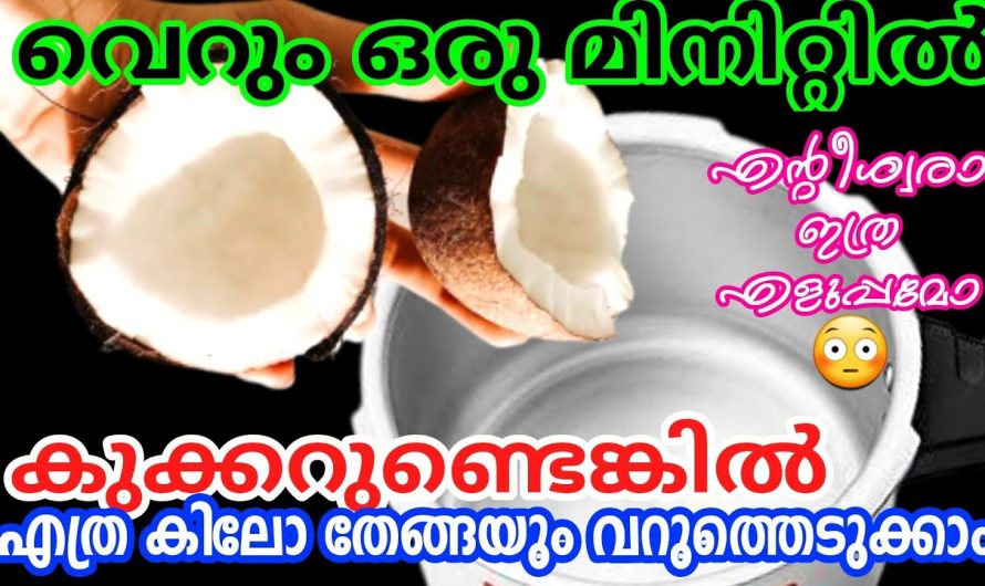 ഒട്ടും ഇളക്കാതെ ഈസിയായി എത്ര തേങ്ങ വേണമെങ്കിലും വറുത്തെടുക്കാം. ഒരു കാരണവശാലും ഇതാരും കാണാതിരിക്കരുതേ…| Coconut frying in cooker