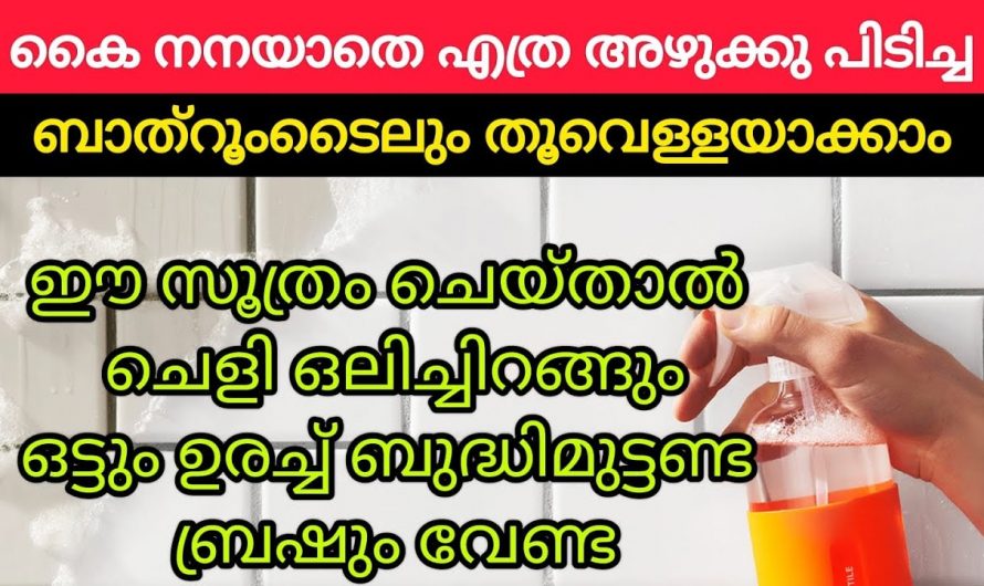 ഒട്ടും ബ്രഷ് ഉപയോഗിക്കാതെ ബാത്ത്റൂം വൃത്തിയാക്കാൻ ഇങ്ങനെ ചെയ്താൽ മതി. ഒരു കാരണവശാലും ഇത് അറിയാതിരിക്കില്ലേ.